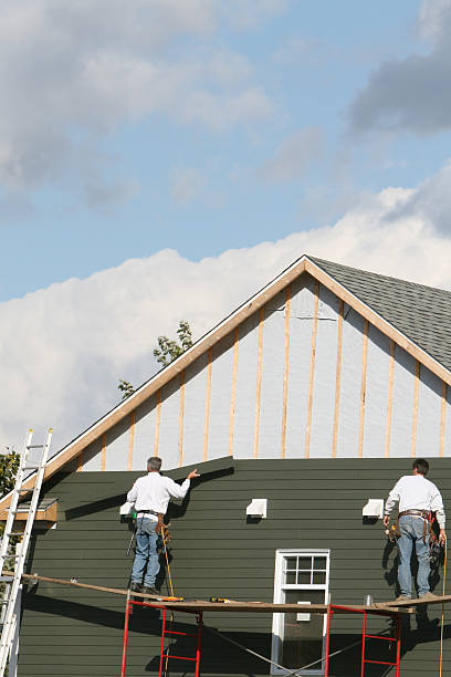 Best Steel Siding Installation  in Millsboro, DE