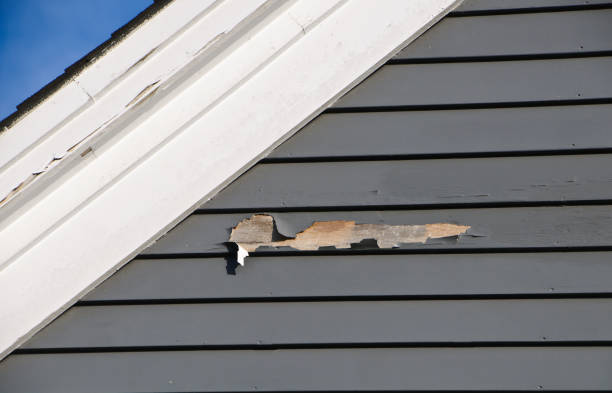 Best Storm Damage Siding Repair  in Millsboro, DE